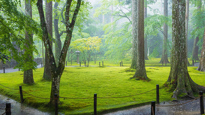 梅雨シーズンの旅行